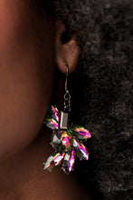 Load image into Gallery viewer, 2022 Obsessed Paparazzi Accessories