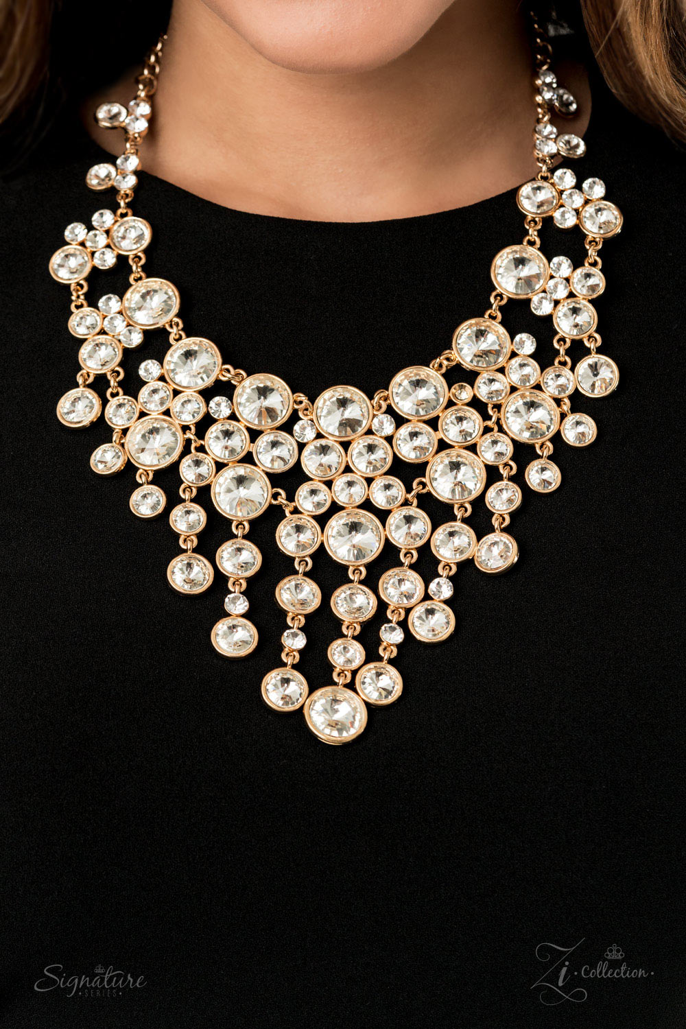 2020 The Rosa Paparazzi Accessories