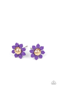Starlet Shimmer Earring Kit Paparazzi Accessories