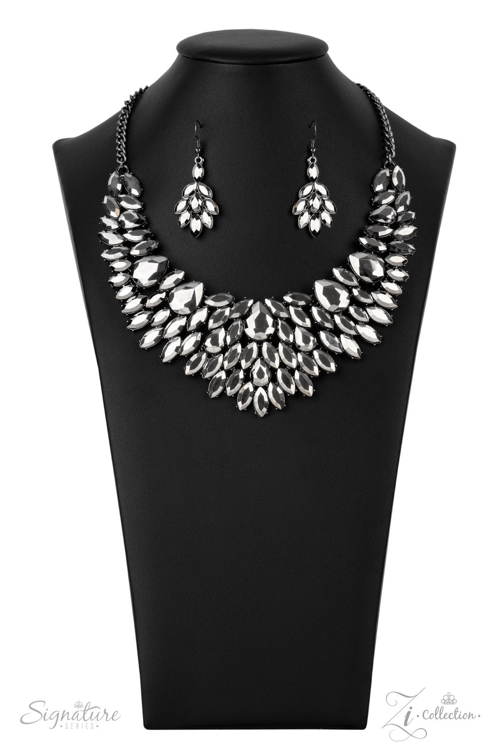 2021 The Tanisha Paparazzi Accessories