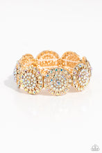 Load image into Gallery viewer, Executive Elegance - Multi Paparazzi Accessories
