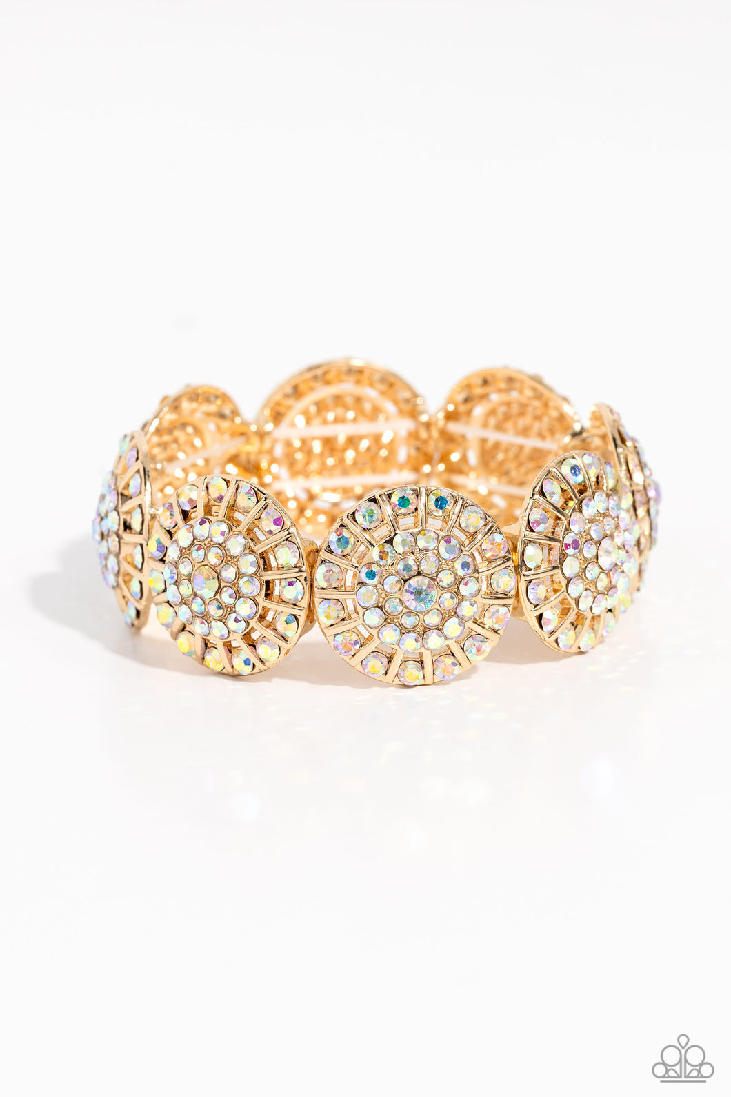 Executive Elegance - Multi Paparazzi Accessories